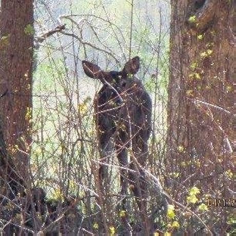 f2be25c1 1663 4aef b0c1 03150bb9704f. cr50,0,300,300 ux460